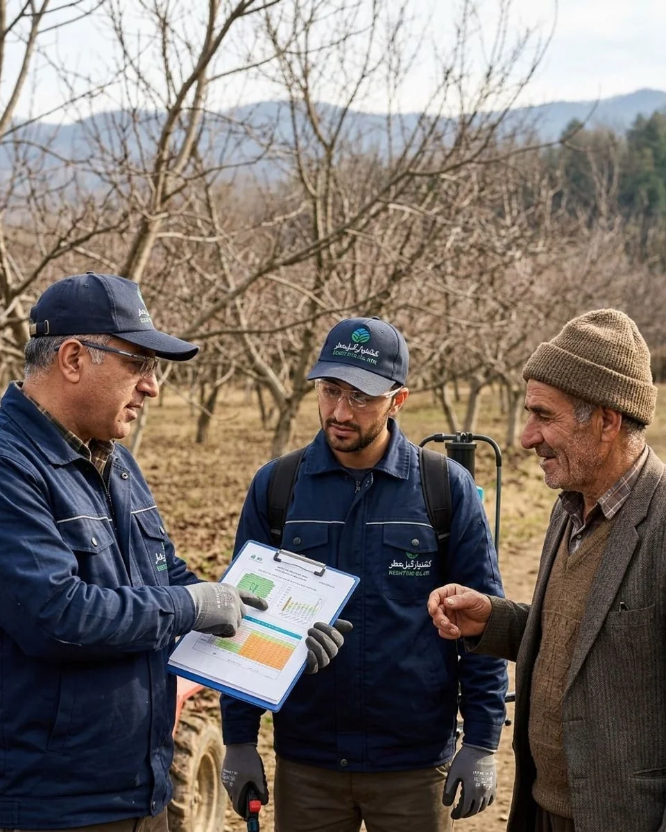 هرس، سمپاشی و برداشت
